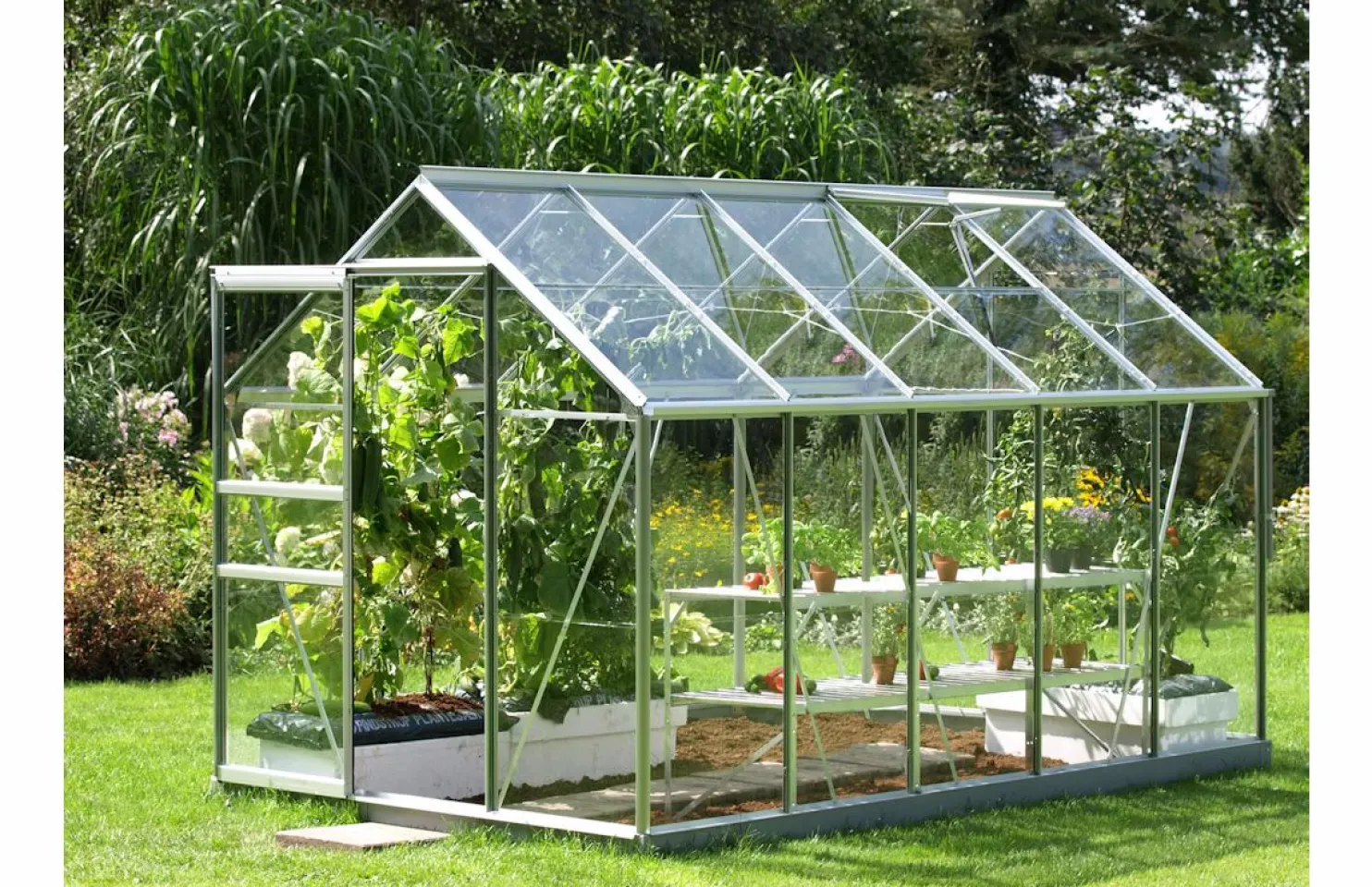 Kasvihuone Vitavia Venus 6.2m² lasi alumiinirunko harmaa
