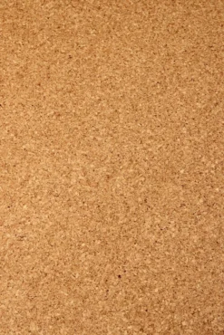 Korkkilattia Floor Experts LiCo Mono, lakattu, 10,5mm