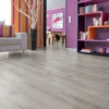 Laminaatti Flooria Superior Plus d3904 Oak Grey, 1-sauvainen, tammi