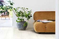 Laminaatti Pergo Living Expression Lillehammer 4V White Painted Oak 2,048 m²/pkt