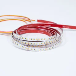 LED-nauha FTLIGHT White Premium CCT 3528 24V IP20 120led/m 19,2W/m 3000-6000K 5 metrin rulla katkaistavissa