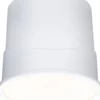 Upotettava LED-moduuli Paulmann Base Coin, Smart Home Zigbee 3.0, Ø50mm, 3000K, himmennettävä, satiini